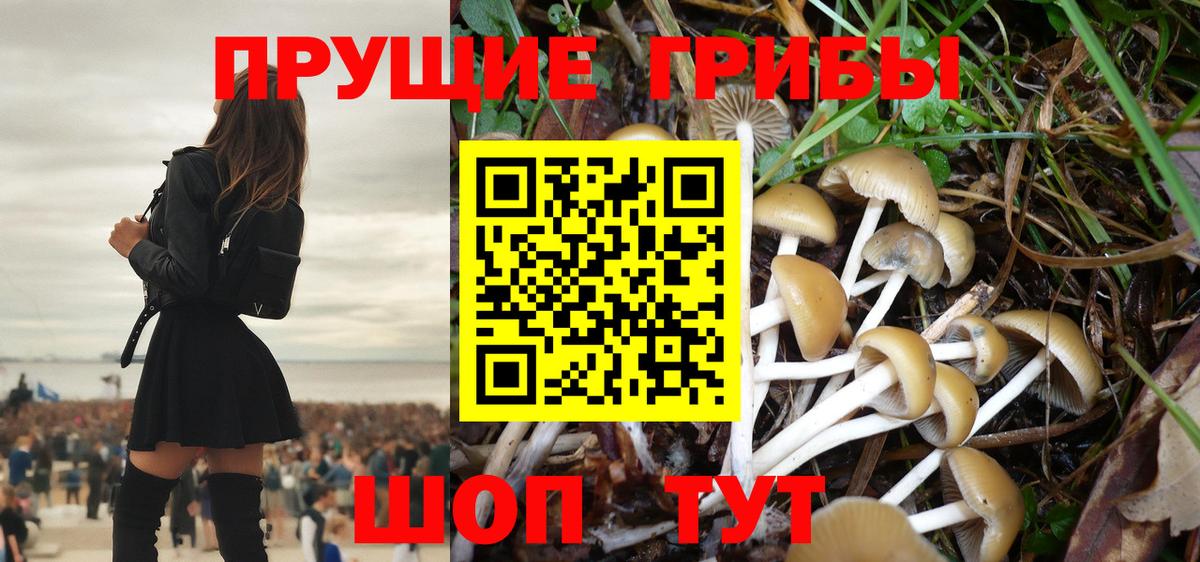 Галлюциногенные грибы Psilocybe  Вход с VPN  Сызрань 